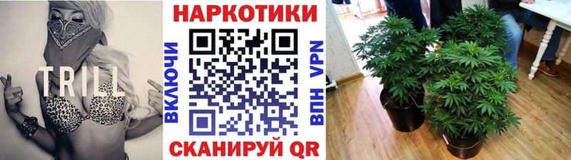 Как найти закладки Тарко-Сале Кокаин Марихуана Меф АМФ ГАШ