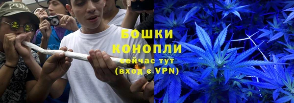 твердый Новокубанск